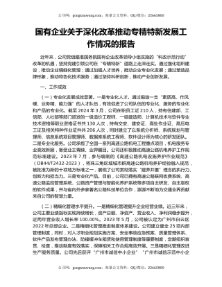 国有企业关于深化改革推动专精特新发展工作情况的报告