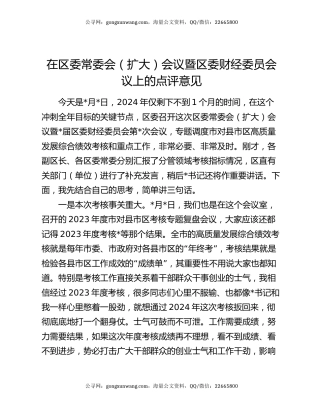 在区委常委会（扩大）会议暨区委财经委员会议上的点评意见