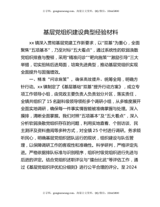 基层党组织建设典型经验材料