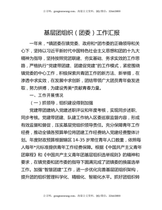 基层团组织（团委）工作汇报