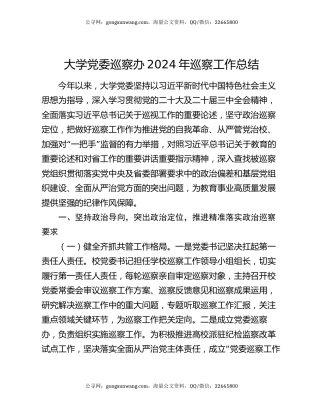 大学党委巡察办2024年巡察工作总结