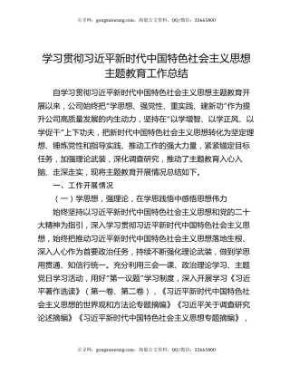 学习贯彻习近平新时代中国特色社会主义思想主题教育工作总结