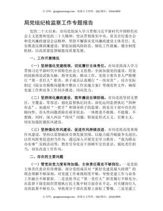 局党组纪检监察工作专题报告