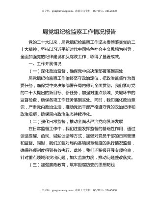 局党组纪检监察工作情况报告