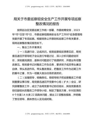 局关于市委巡察组安全生产工作开展专项巡察整改情况的报告