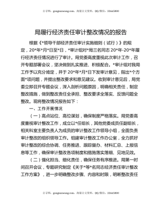 局履行经济责任审计整改情况的报告