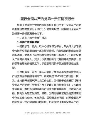 履行全面从严治党第一责任情况报告