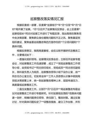 巡察整改落实情况汇报