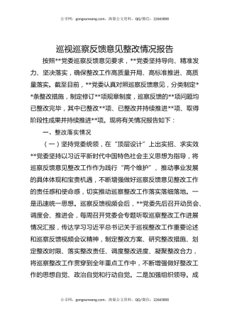 巡视巡察反馈意见整改情况报告