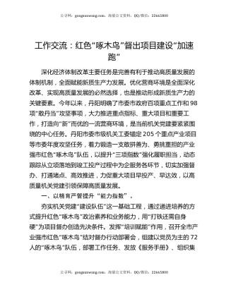 工作交流：红色“啄木鸟”督出项目建设“加速跑”