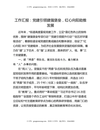 工作汇报：党建引领建强堡垒，红心向阳助推发展