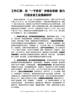 工作汇报：在“一干多支”中竞合发展  奋力打造全省工业强县标杆