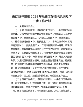 市两新党组织2024年党建工作情况总结及下一步工作计划