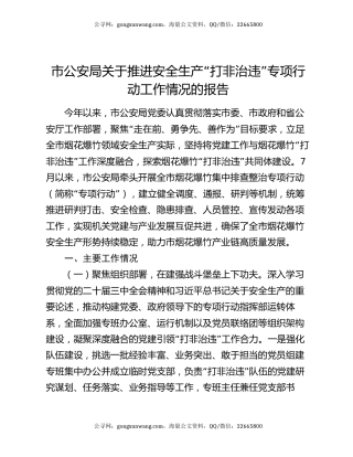 市公安局关于推进安全生产“打非治违”专项行动工作情况的报告
