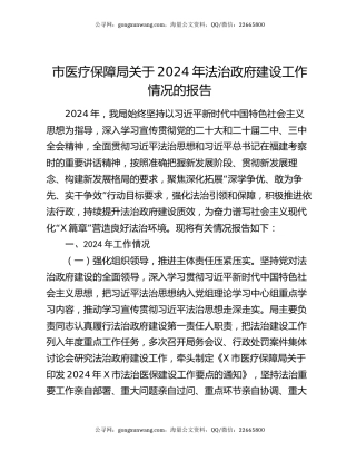 市医疗保障局关于2024年法治政府建设工作情况的报告