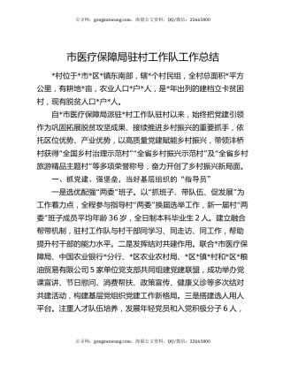 市医疗保障局驻村工作队工作总结