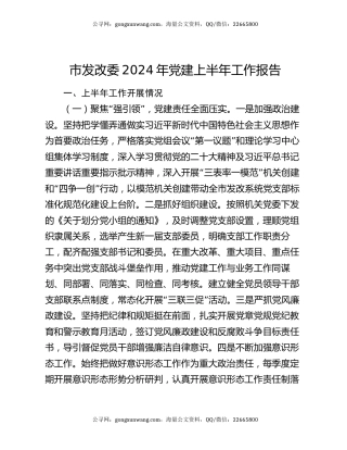 市发改委2024年党建上半年工作报告