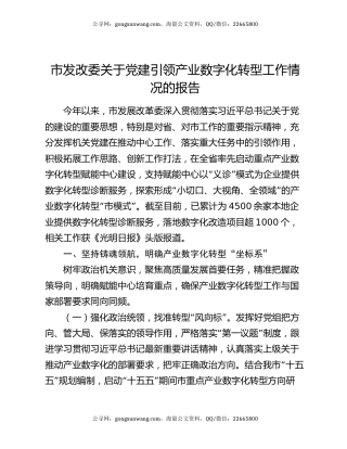 市发改委关于党建引领产业数字化转型工作情况的报告