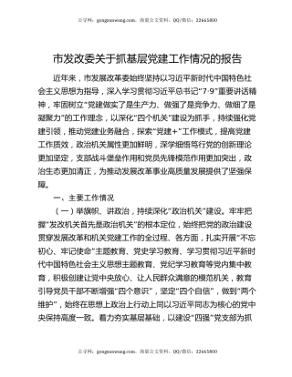 市发改委关于抓基层党建工作情况的报告