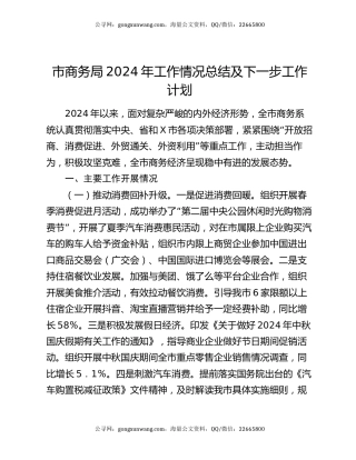 市商务局2024年工作情况总结及下一步工作计划