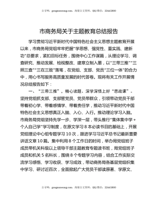 市商务局关于主题教育总结报告