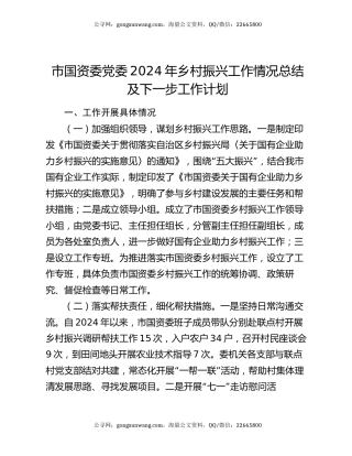 市国资委党委2024年乡村振兴工作情况总结及下一步工作计划