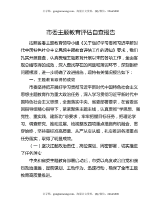 市委主题教育评估自查报告