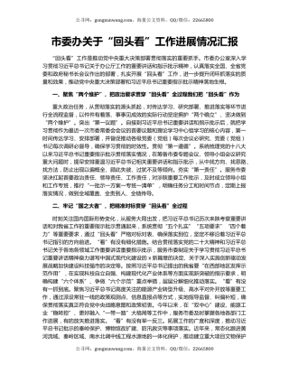 市委办关于“回头看”工作进展情况汇报