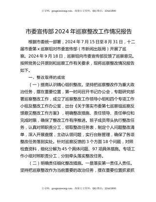 市委宣传部2024年巡察整改工作情况报告