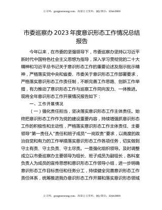 市委巡察办2023年度意识形态工作情况总结报告