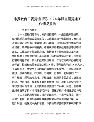市委教育工委党组书记2024年抓基层党建工作情况报告