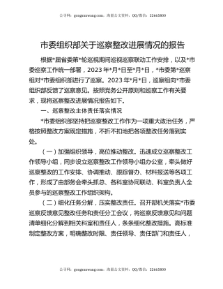 市委组织部关于巡察整改进展情况的报告