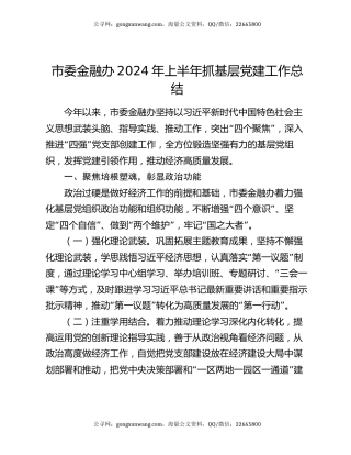 市委金融办2024年上半年抓基层党建工作总结