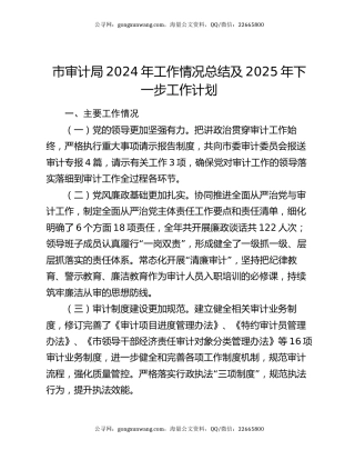 市审计局2024年工作情况总结及2025年下一步工作计划