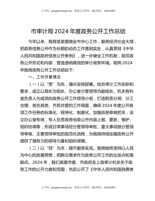 市审计局2024年度政务公开工作总结