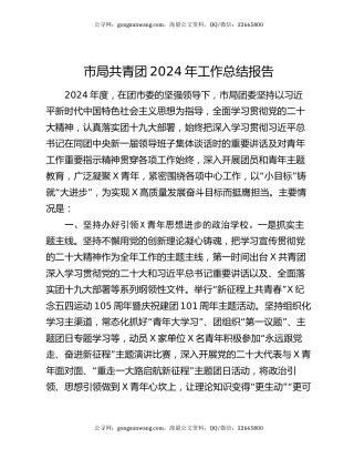 市局共青团2024年工作总结报告