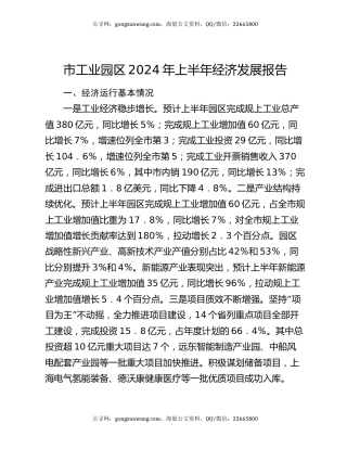 市工业园区2024年上半年经济发展报告