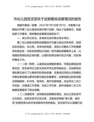 市幼儿园党支部关于巡察整改进展情况的报告