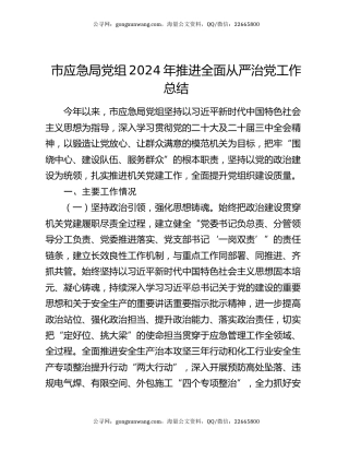 市应急局党组2024年推进全面从严治党工作总结