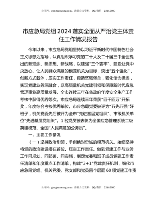 市应急局党组2024落实全面从严治党主体责任工作情况报告