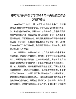 市府办党员干部学习2024年中央经济工作会议精神感悟