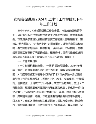 市投资促进局2024年上半年工作总结及下半年工作计划