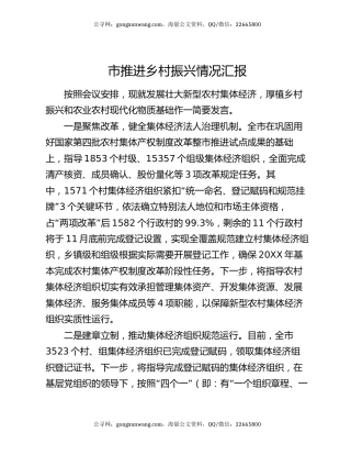 市推进乡村振兴情况汇报