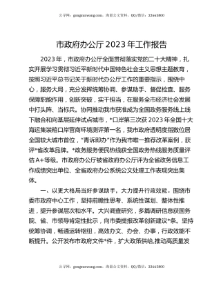 市政府办公厅2023年工作报告