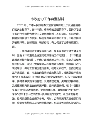 市政府办工作典型材料