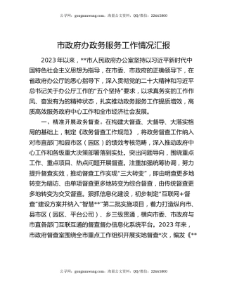 市政府办政务服务工作情况汇报