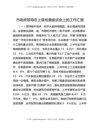 市政府领导在上级检查座谈会上的工作汇报