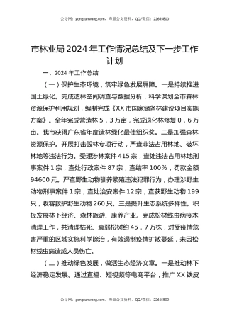 市林业局2024年工作情况总结及下一步工作计划