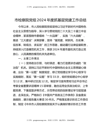 市检察院党组2024年度抓基层党建工作总结