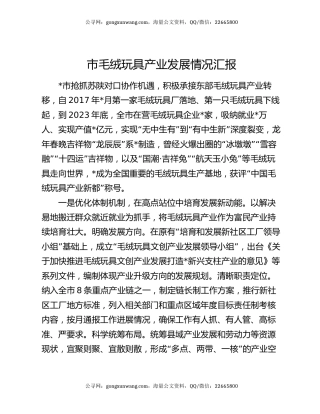 市毛绒玩具产业发展情况汇报